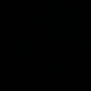 Meet your Posher, Aryanna